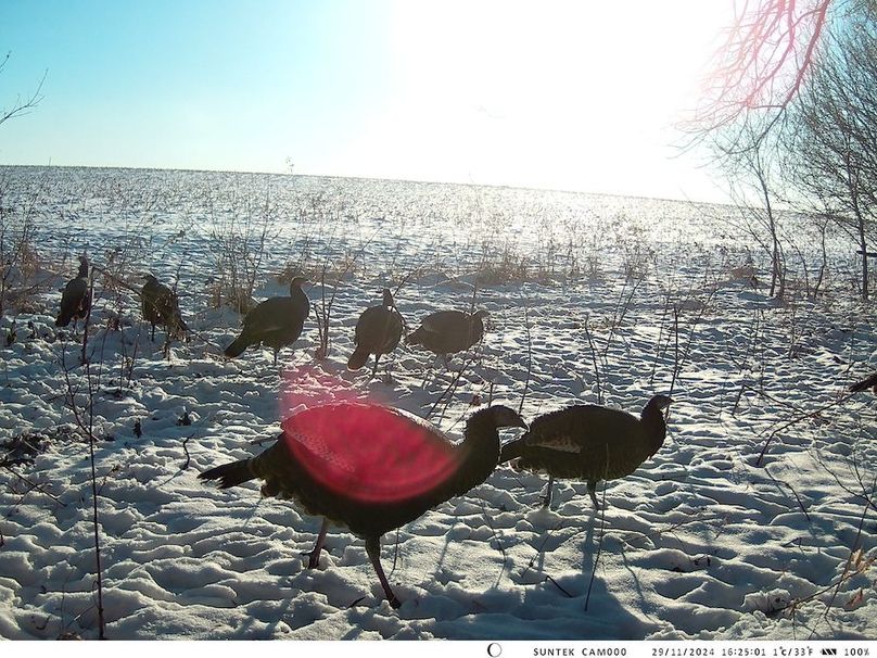 2024-1129-162502_000427