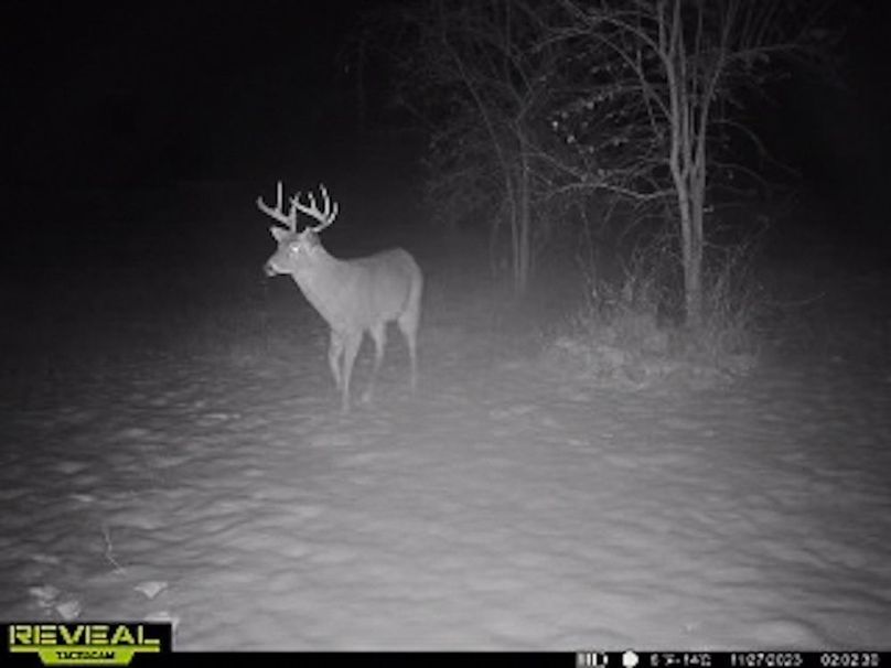 865509050418056-30-4-11272023020256-W1003482