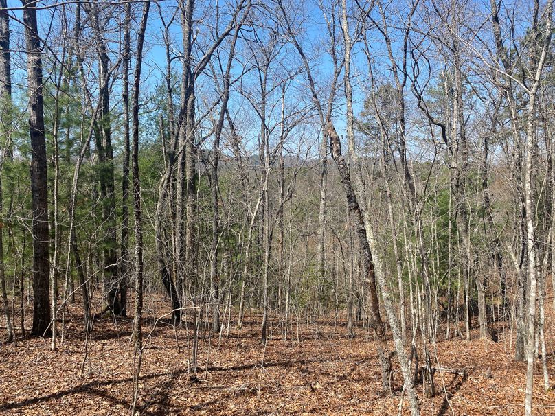 Cherokee 69.74 Stiles-25