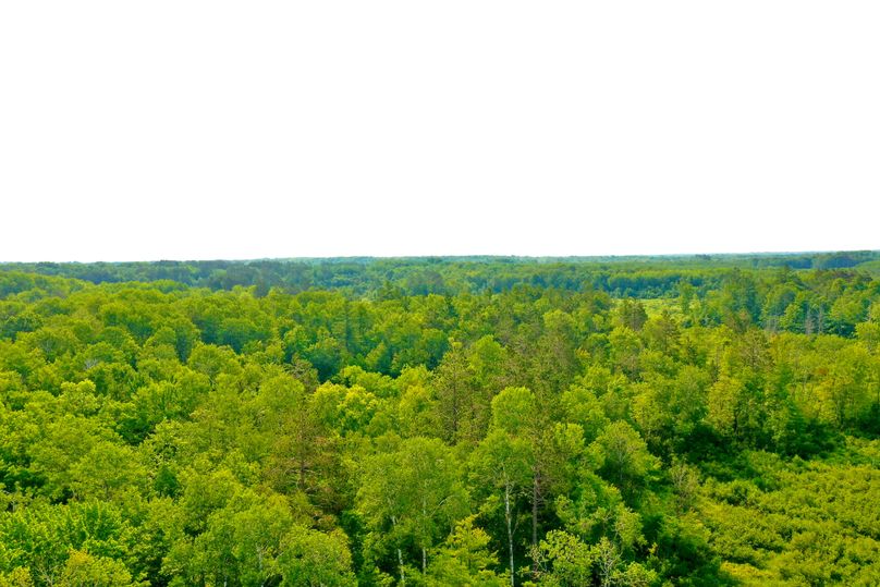 DJI_0451