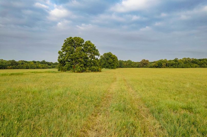 Lamar County TX 112-29