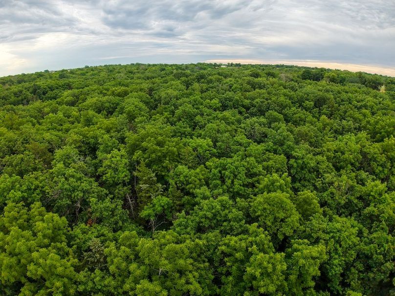 DJI_20250630065957_0281_D
