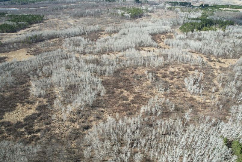 dji_fly_20260415_161512_162_1776288005092_photo