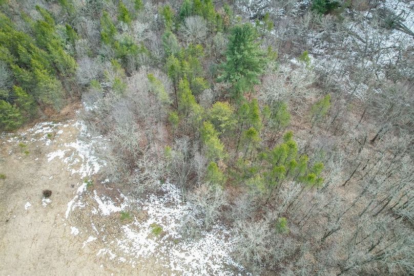 Adams 10.06 Johnson-64