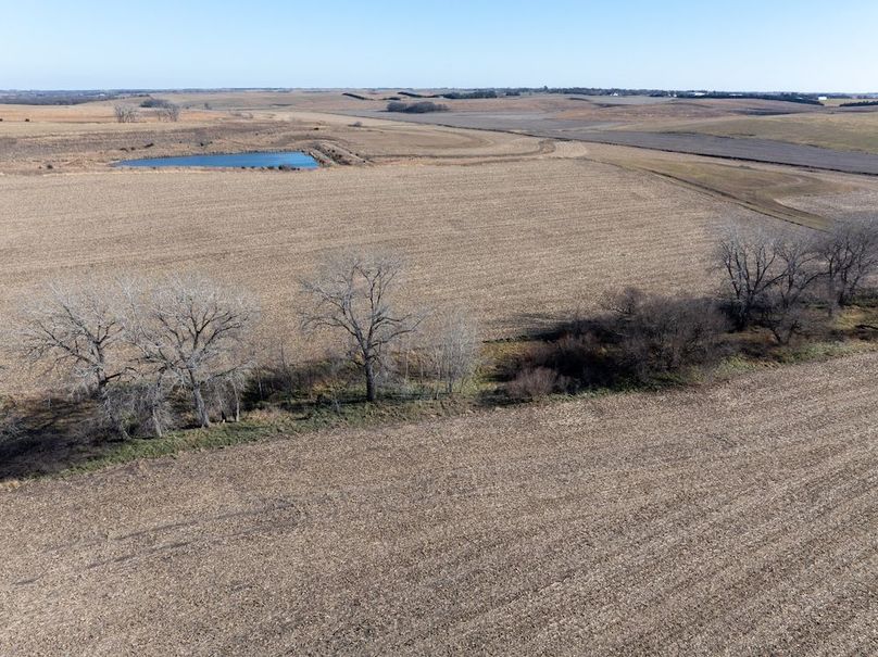 DJI_20251123135210_0045_D