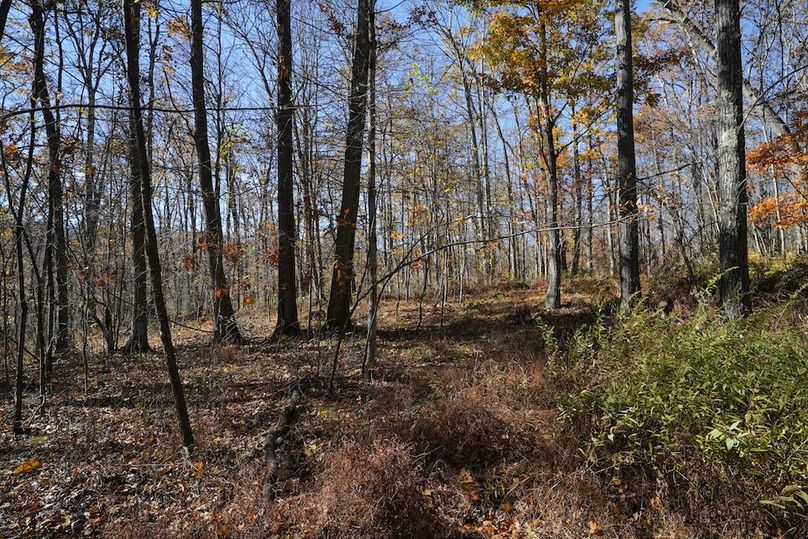 Somerset, 10.91, Tinkey-38