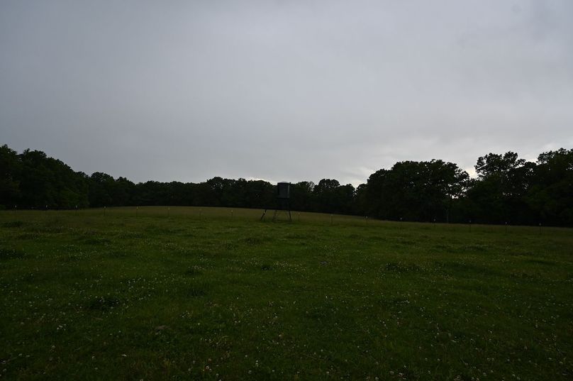 DSC_0212