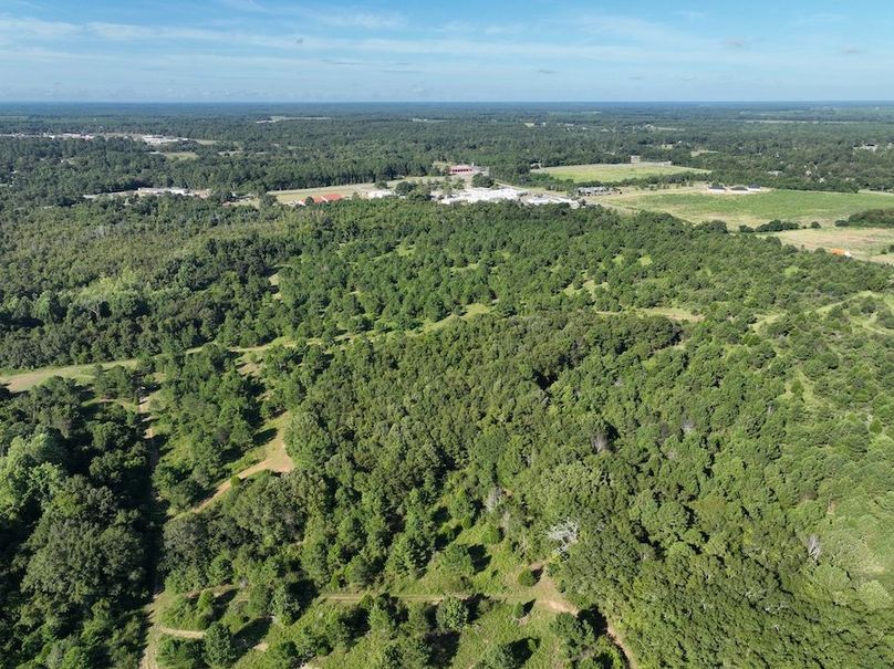 dji_fly_20240827_095008_726_1724766993865_photo
