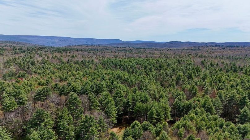 p4a