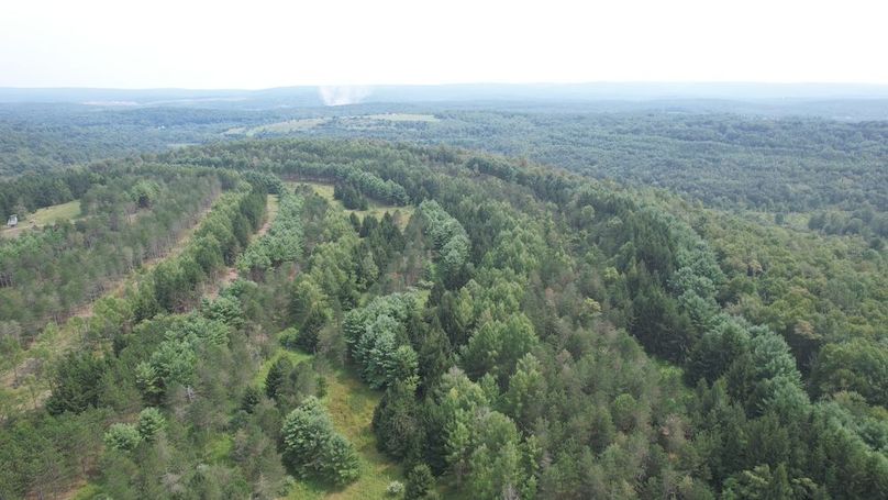 dji_fly_20250804_150600_468_1754355853910_photo