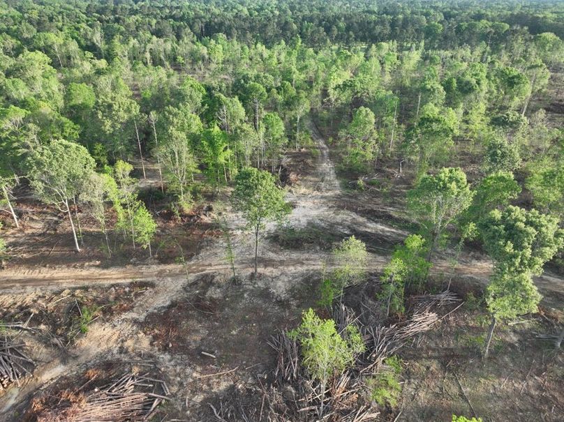 dji_fly_20260407_083648_369_1775580285971_photo