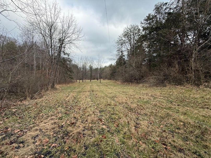 010 another of the nice field areas near the creek