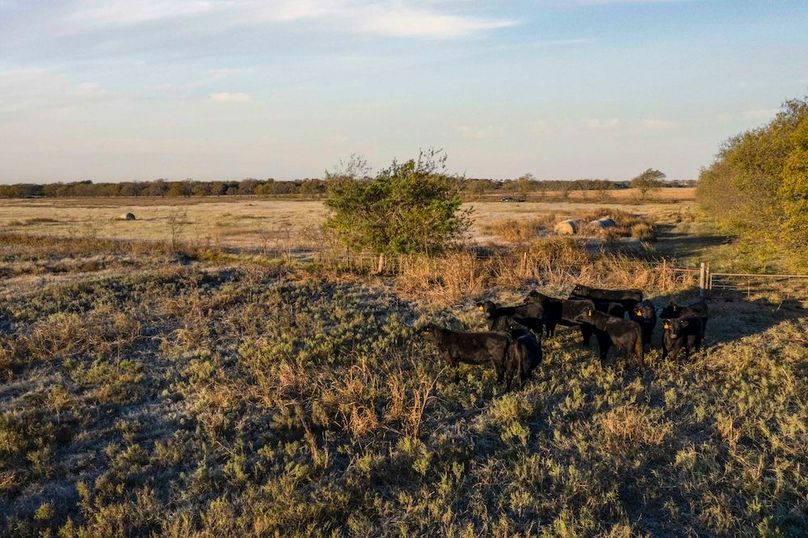 Cooke County- 13.5 acres no pond (21 of 21)