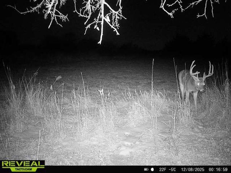 865814042678977-50-2-12082025001658-W1083539