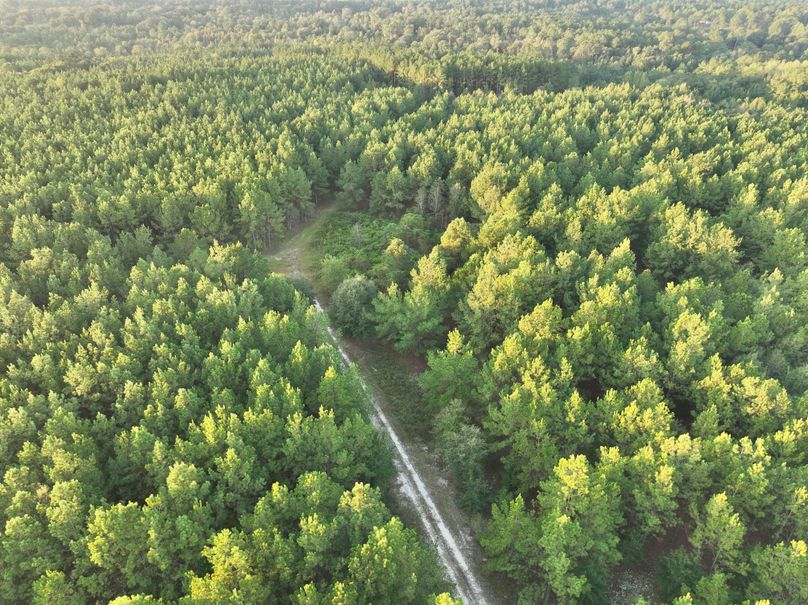 dji_fly_20230925_074916_751_1695642638816_photo