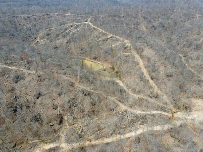 dji_fly_20240329_130844_591_1711732137217_photo