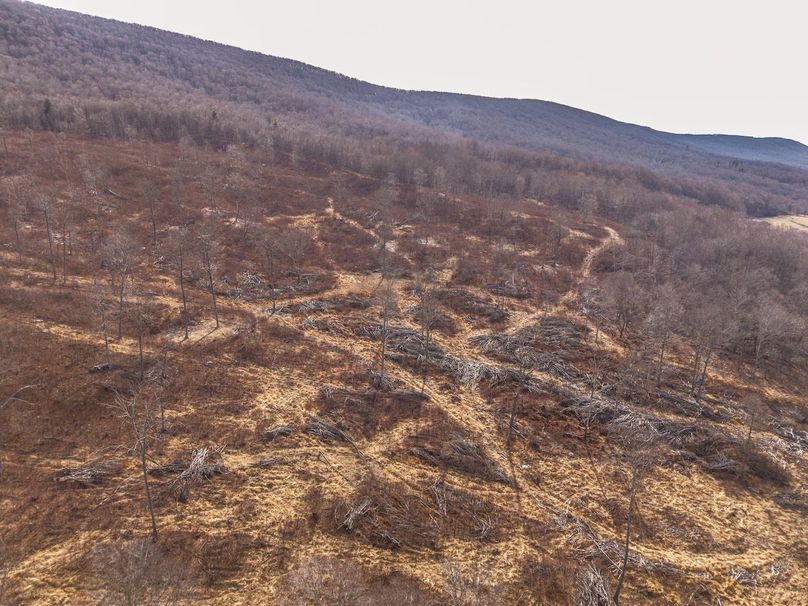 DJI_20260122134143_0048_D