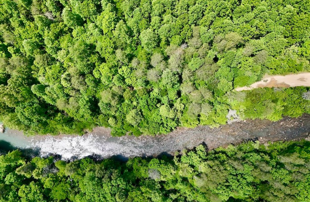 DJI_20260512124421_0007_D