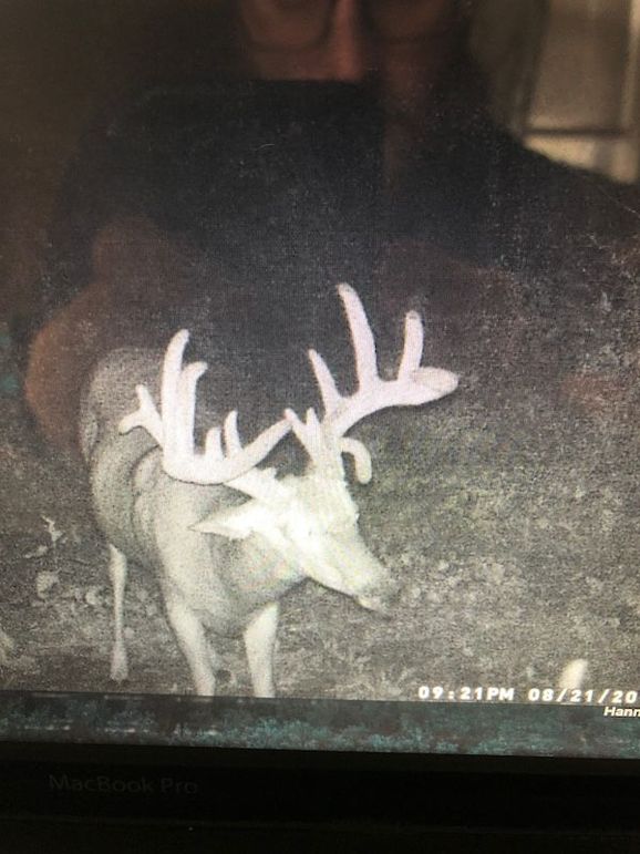 58957827034__609B5F50-BE96-4E7C-9B09-FAA3210EB978