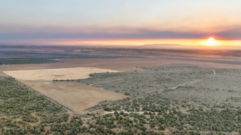 DJI_0444_1