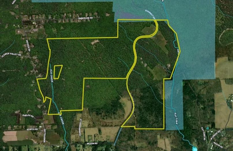 Screenshot 2024-11-22 131926