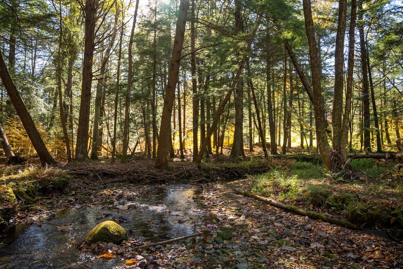 Elk PA 7000 Feature_Pro Photo-121