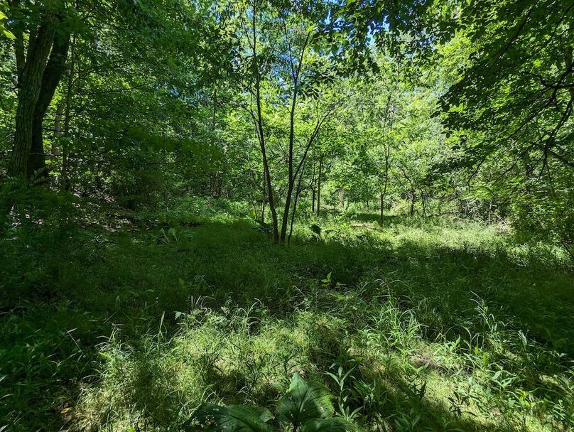 PXL_20240607_183550618