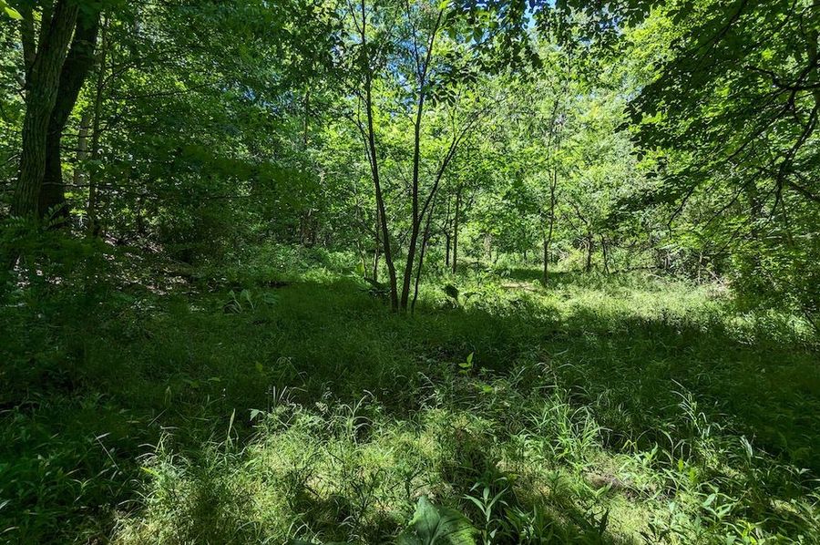 PXL_20240607_183550618