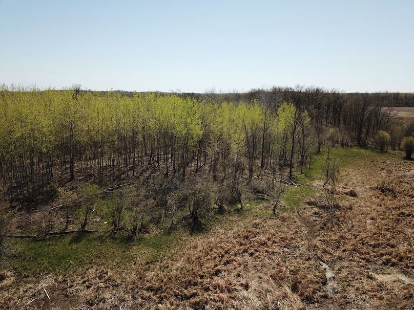 DJI_0096