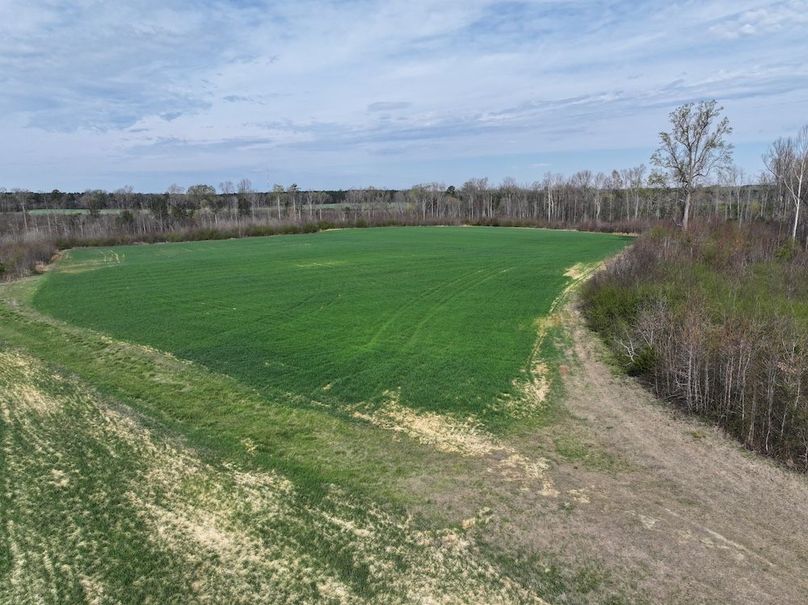 DJI_20260303063414_0541_D