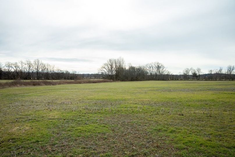 Copy of DSC00766 Large