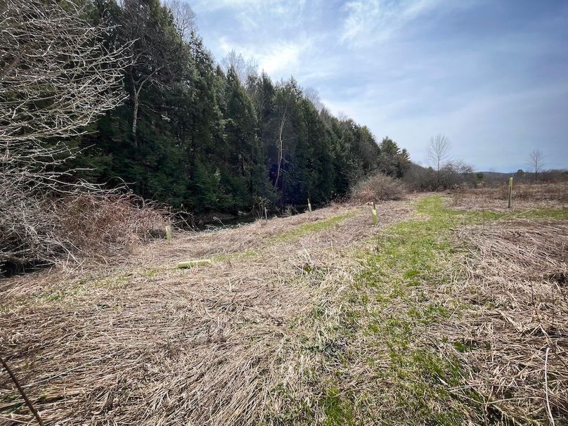 Tioga__NY_109.7_Burris_Photos_124