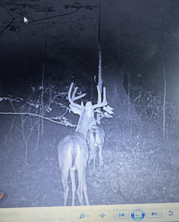 Screenshot 2026-03-02 at 9.55.45 AM