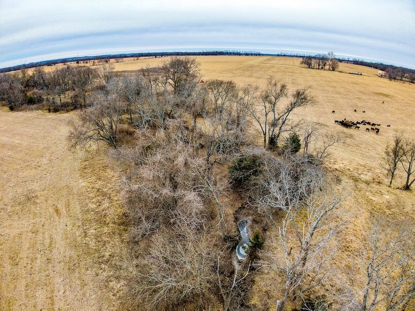 DJI_20260119120007_0733_D