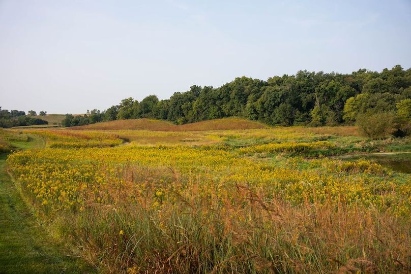 Cedar IA 152 Featured Z44