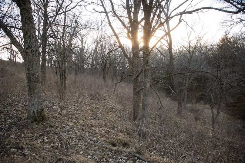 MONTGOMERY CO IA 156.78_48