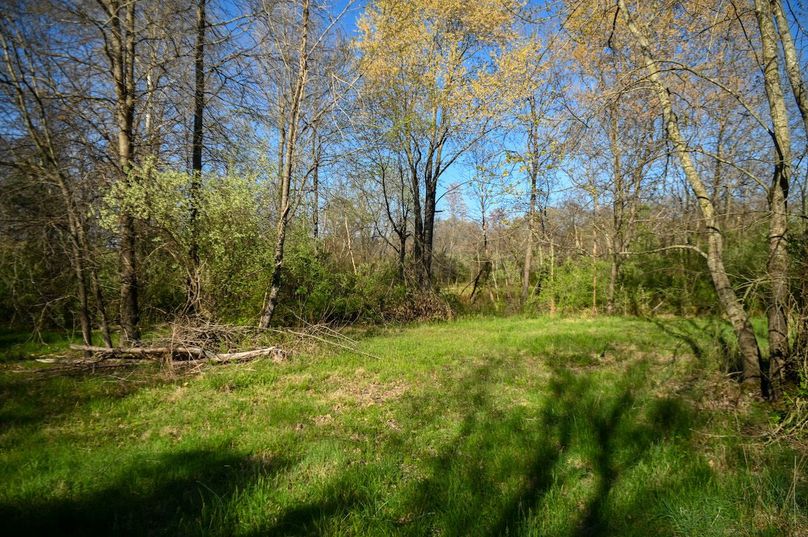 vandalia 450 (2)-2479