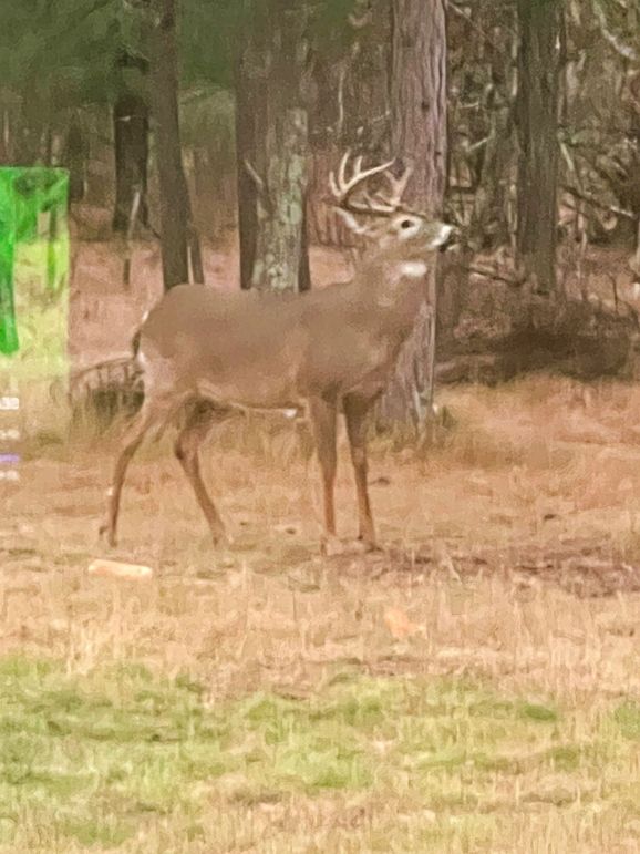 Juneau 27 Wiesner -056