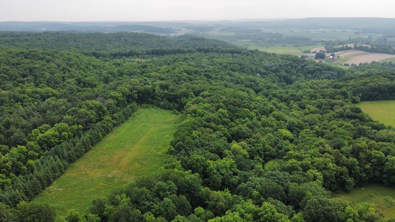 dji_fly_20230610_085650_574_1686405894373_photo_optimized