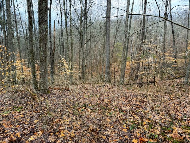 Ritchie, WV 64 AC Hall New Pics-10