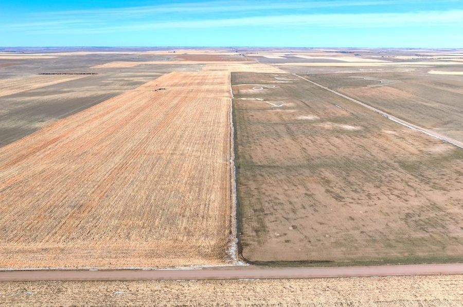 DJI_20250223101647_0061_D-HDR