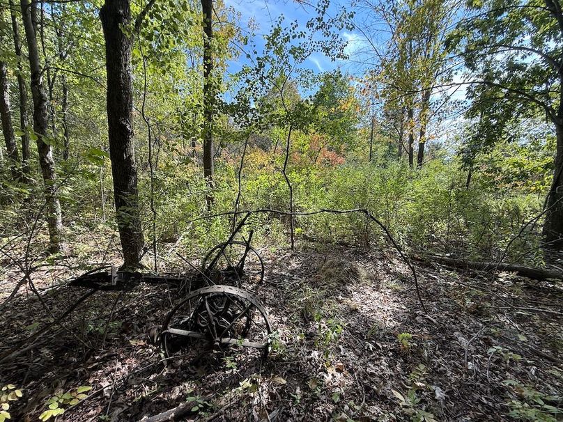 Chemung_20.82_Meyers Photo 19