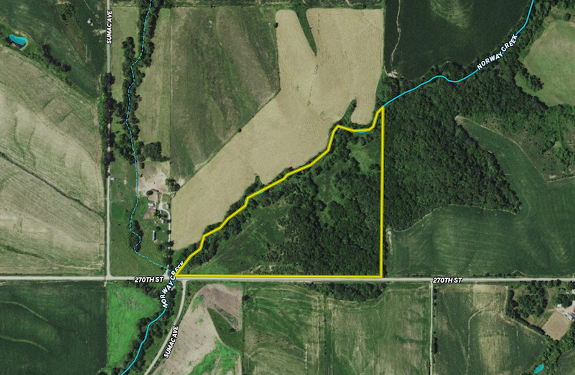 Screenshot 2025-03-17 at 4.43.04 PM