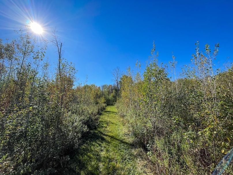 Wood 41.451, Collins -13