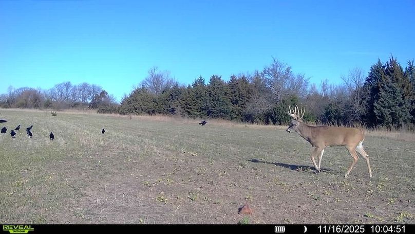 016578002025259-100-3-11162025100451-SYFW12340