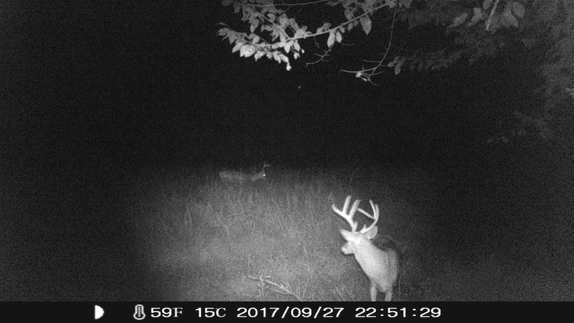 IMAG0196_1759365299638