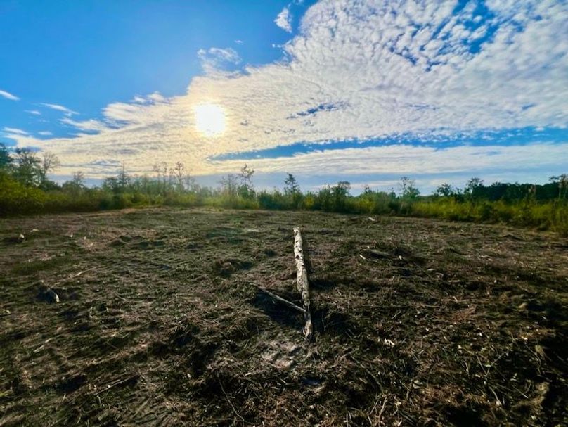 6BDC2E2F-F4E3-4555-AEC0-424619D5B368_1_105_c