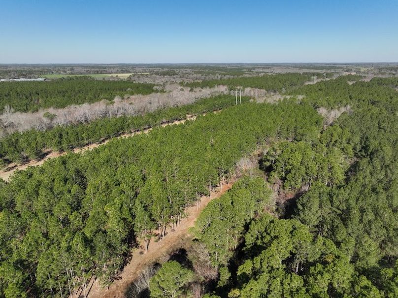 dji_fly_20240207_103428_37_1707320809768_photo