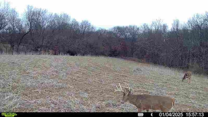 016579000764733-100-3-01042025215643-HD-SYFW02884