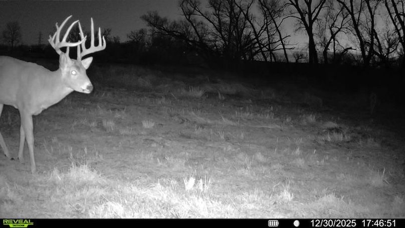 016687000749099-100-4-12302025174651-SYFW04384